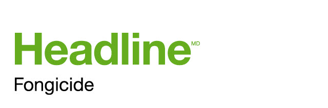 Headline logo